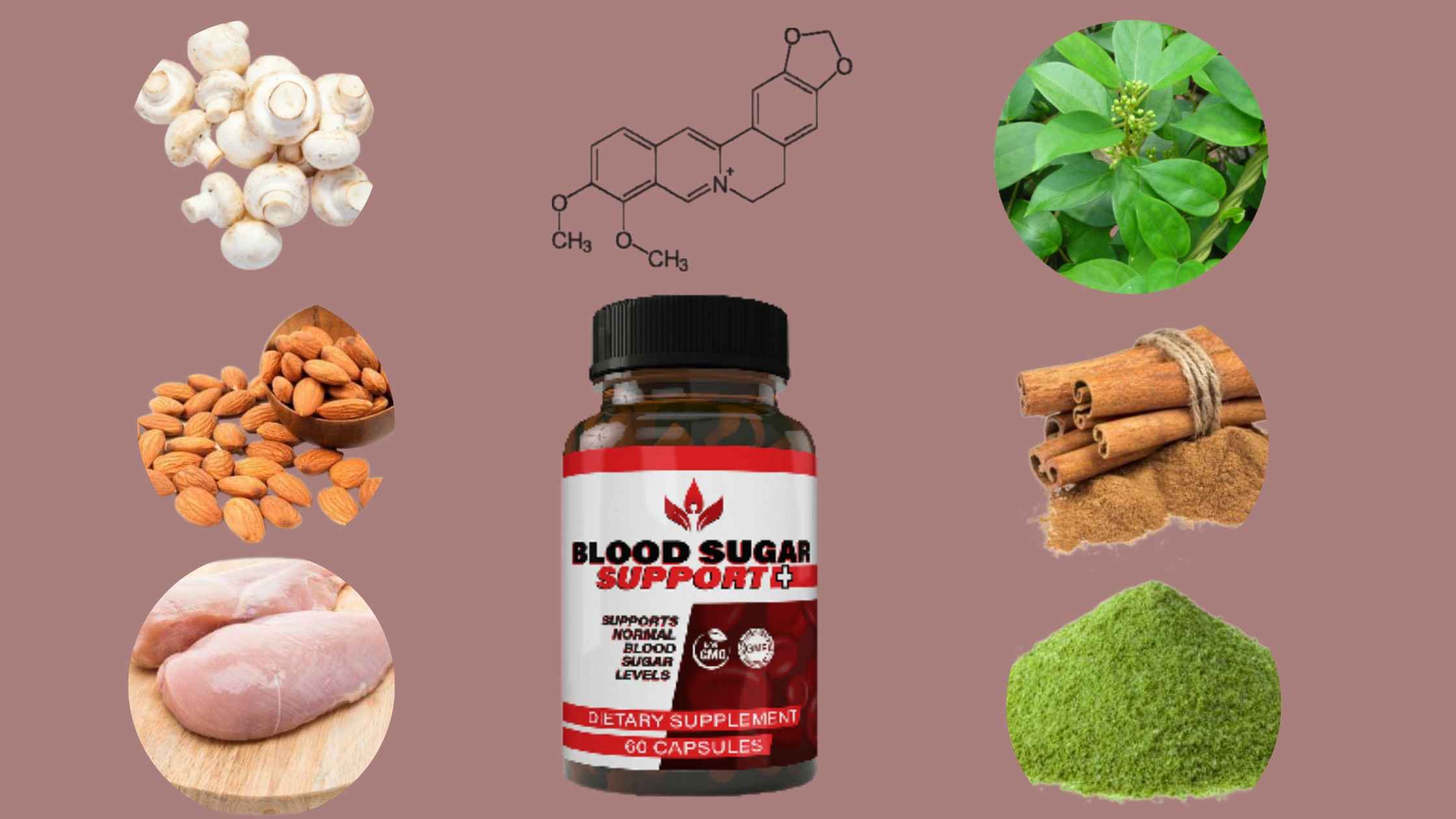 Blood Sugar Support Plus Supplement Facts